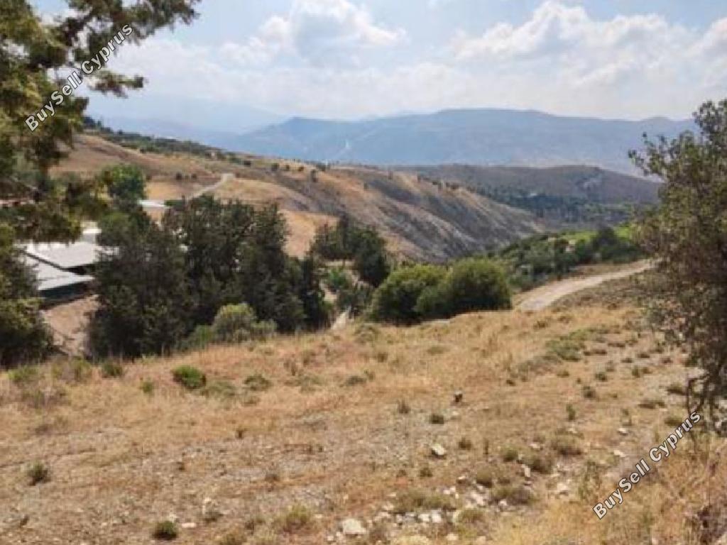 land for sale kilinia paphos 8659048 image 17010656