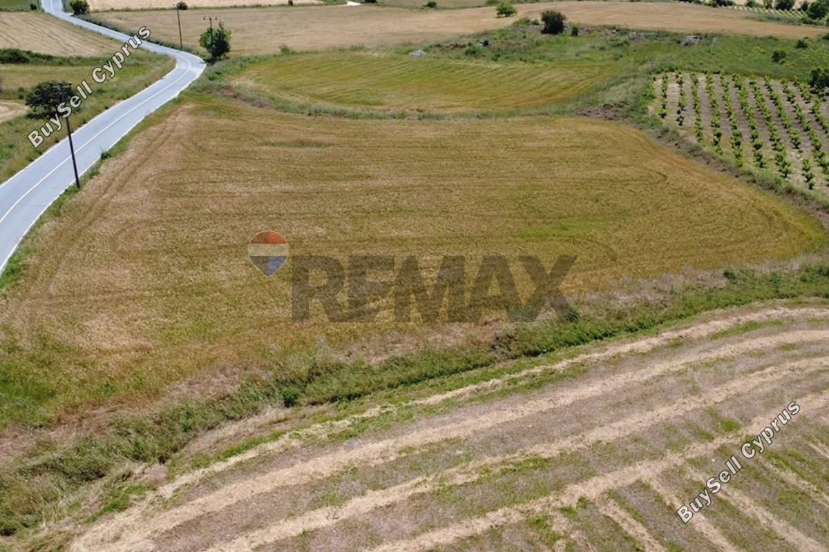land for sale pano arodes paphos 8086048 image 16274956