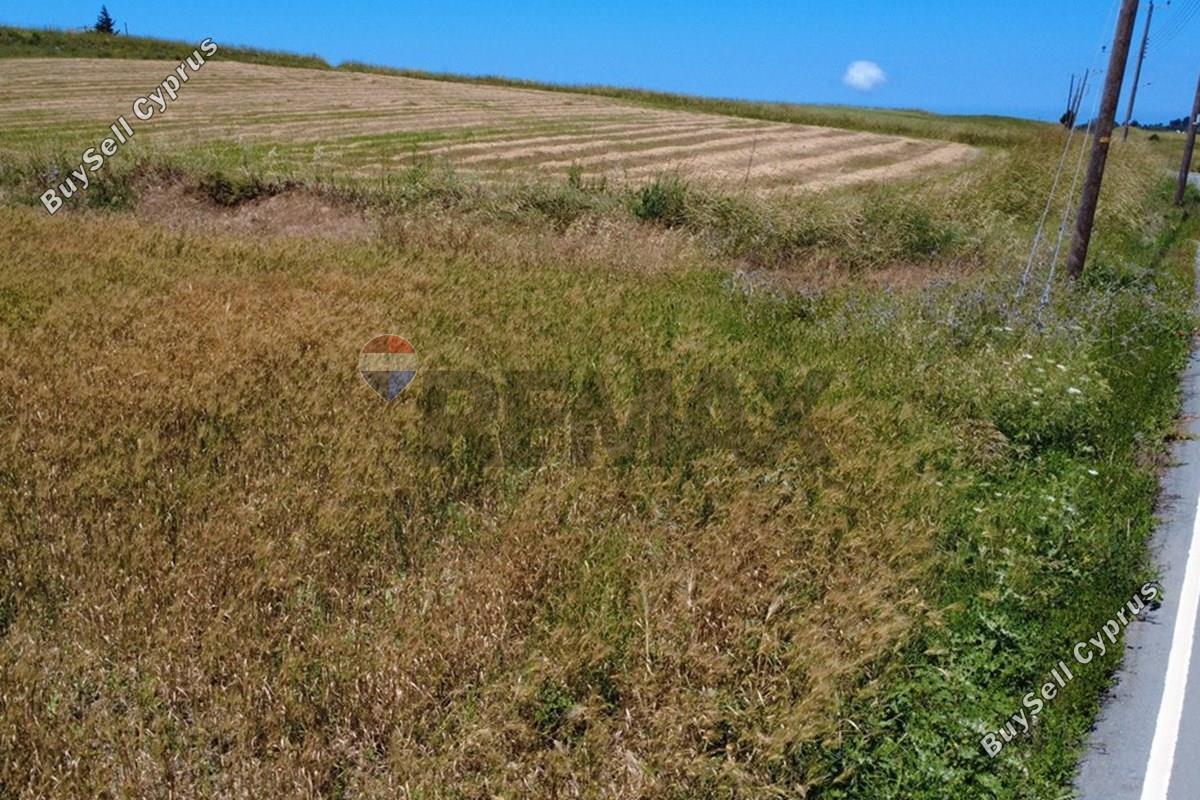 land for sale pano arodes paphos 8086048 image 16274965