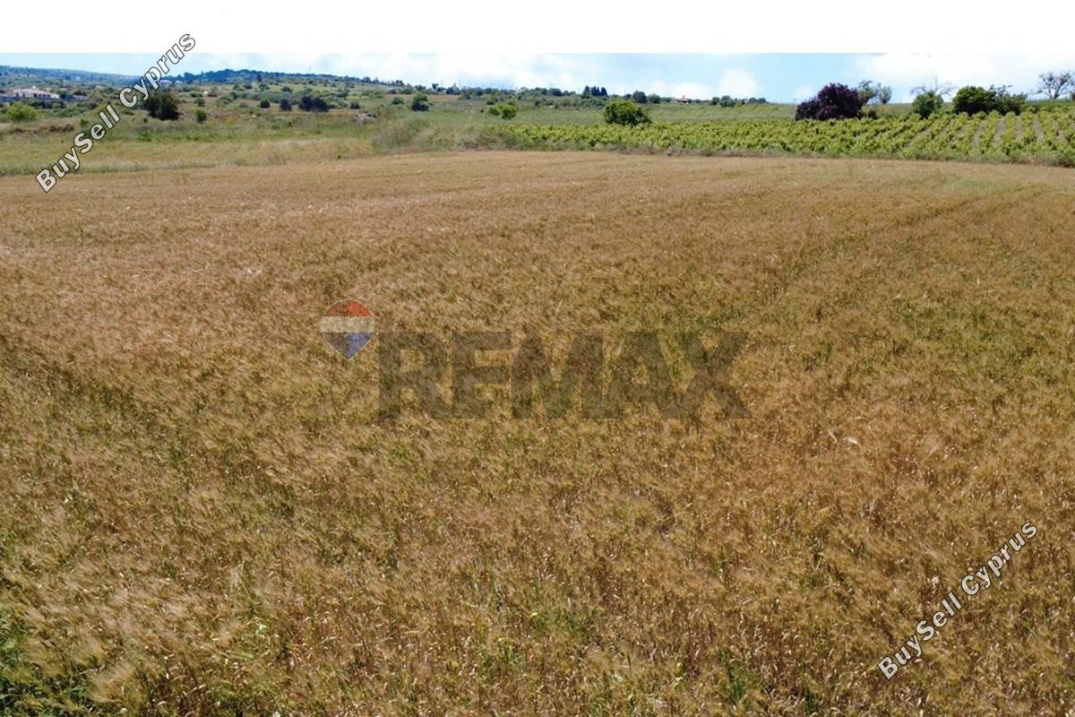 land for sale pano arodes paphos 8086048 image 16274967