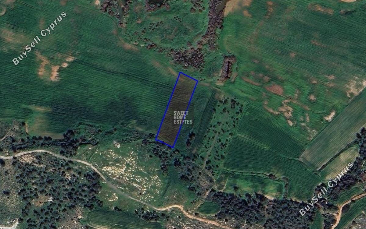 land for sale paralimni famagusta 8255048 image 13901845