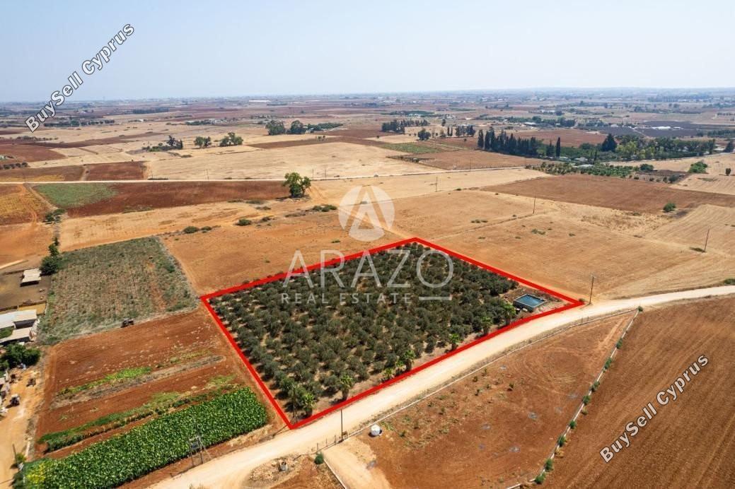 land for sale avgorou famagusta 1752148 image 15881234