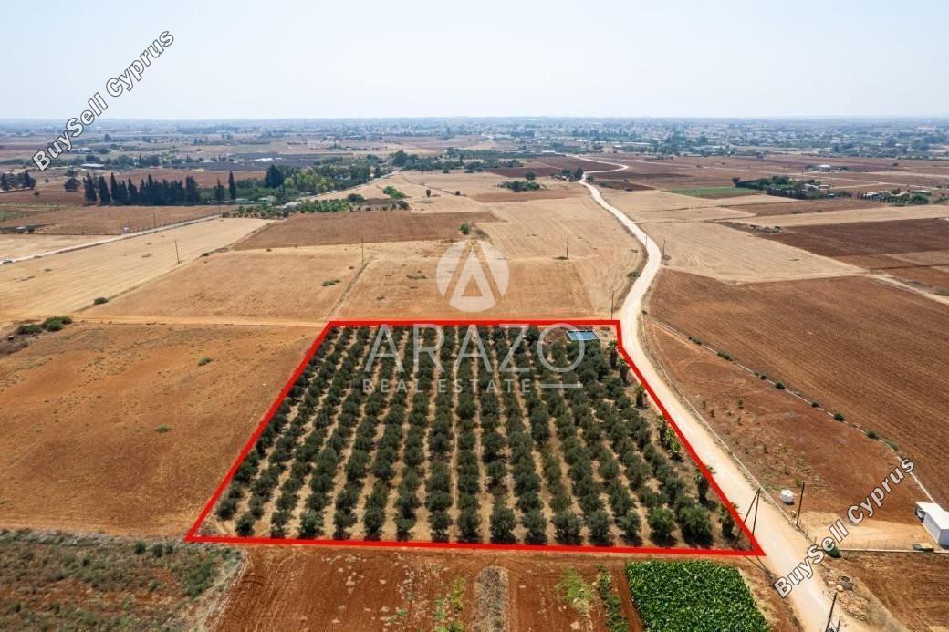 land for sale avgorou famagusta 1752148 image 15881236