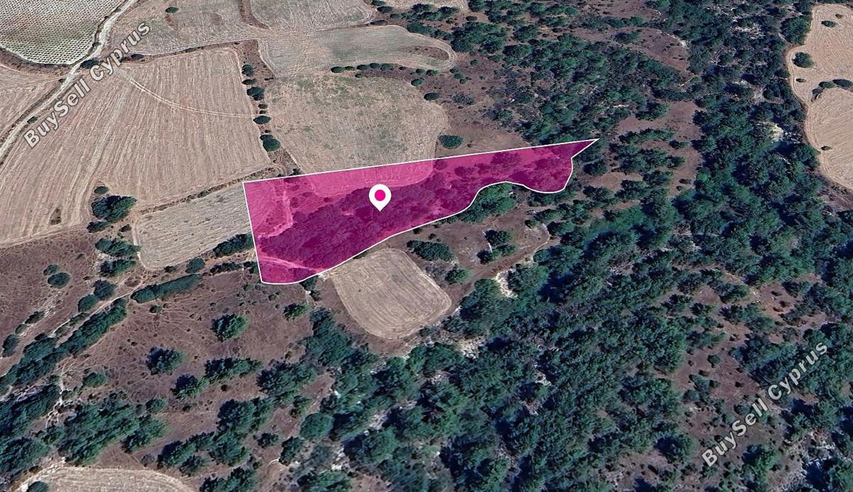 land for sale mousere paphos 1213148 image 14889166