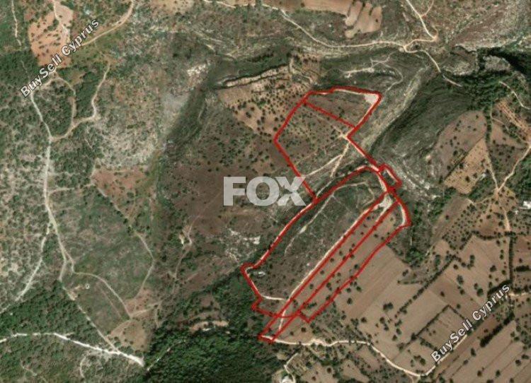land for sale neo chorio paphos 1159148 image 5518527