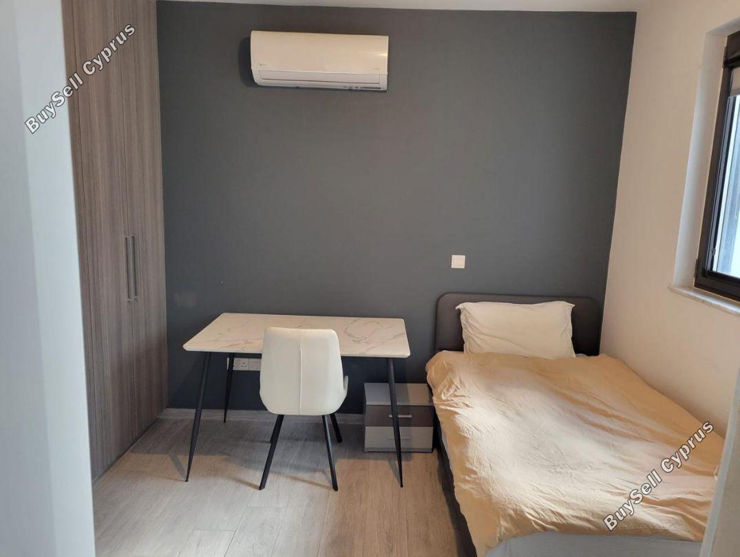 2 bedroom apartment for rent larnaca municipality larnaca 8426348 image 14974586