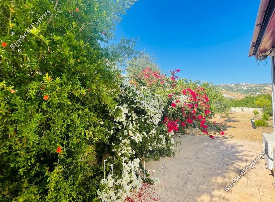6 bedroom bungalow for sale armou paphos 8959348 image 17780746