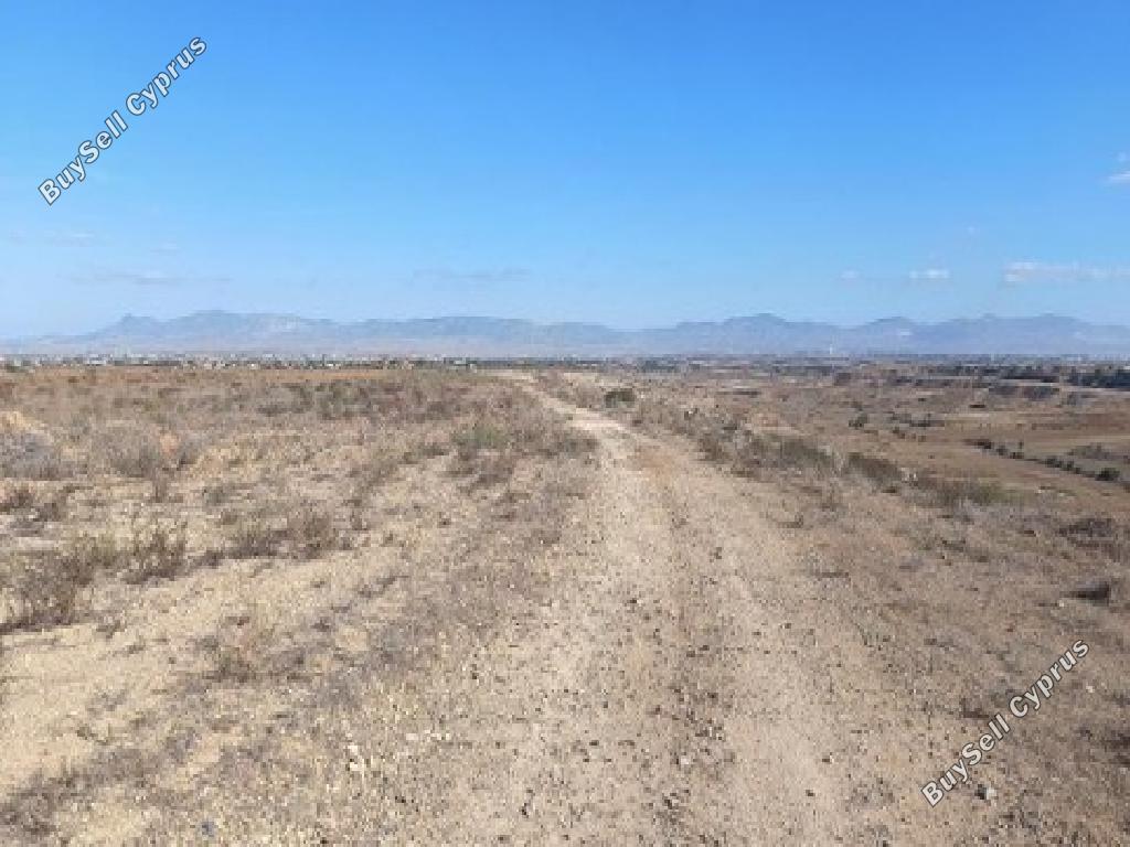 land for sale pano deftera nicosia 831348 image 17364657