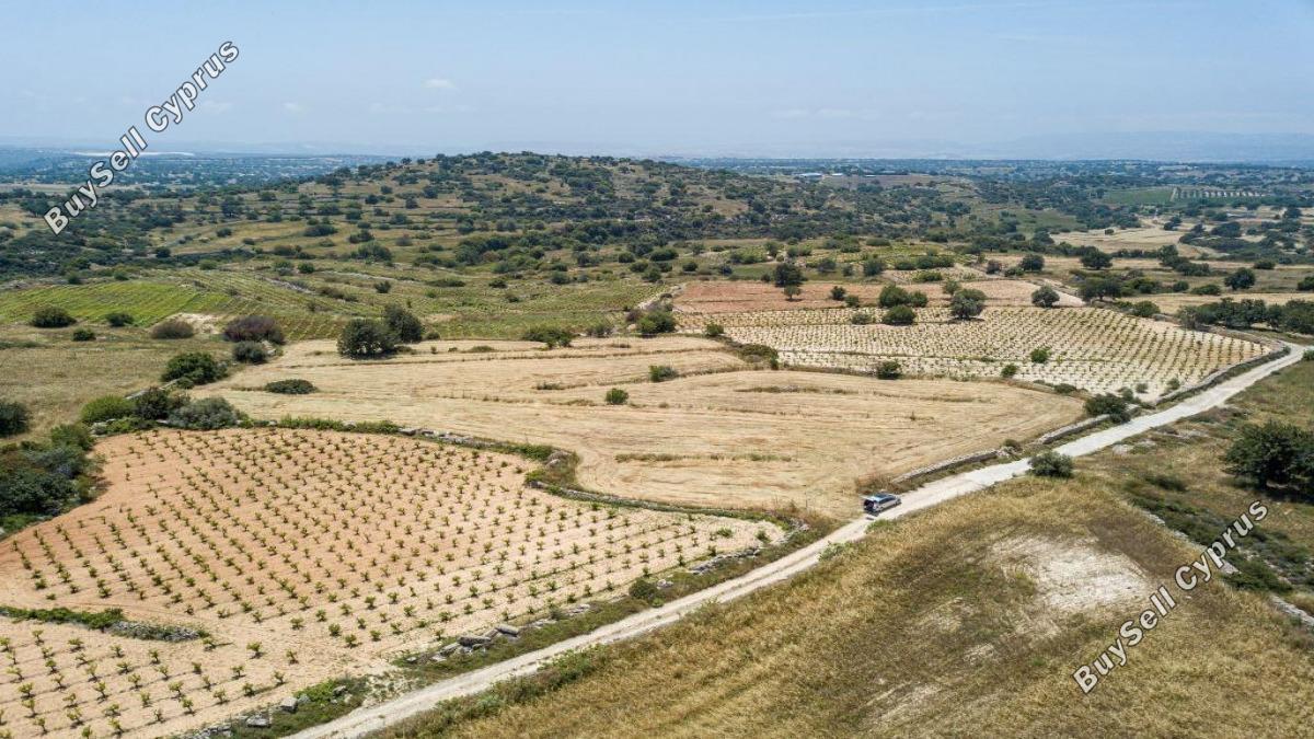 plot for sale pachna limassol 1865348 image 16193763