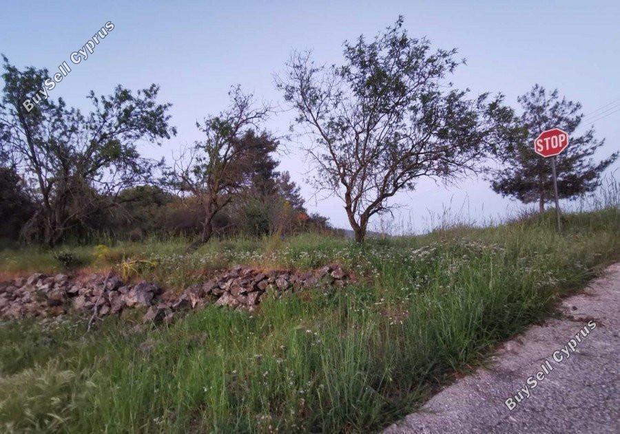 land for sale lysos paphos 8237448 image 14229063