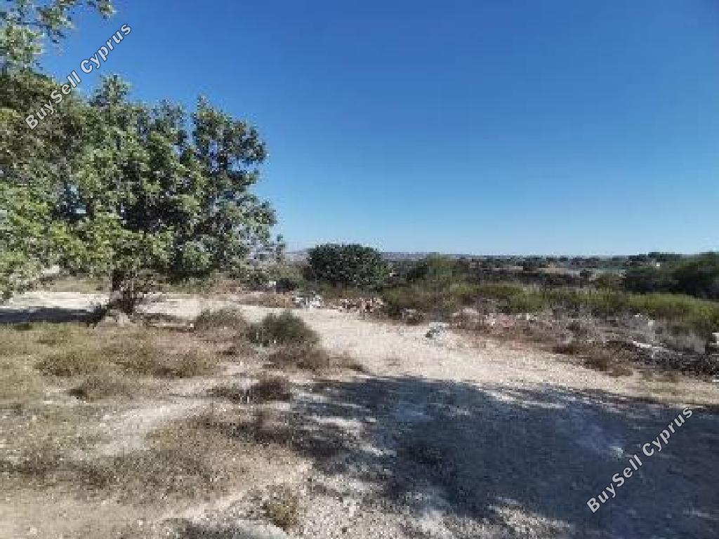 land for sale peyia paphos 7868448 image 15596448