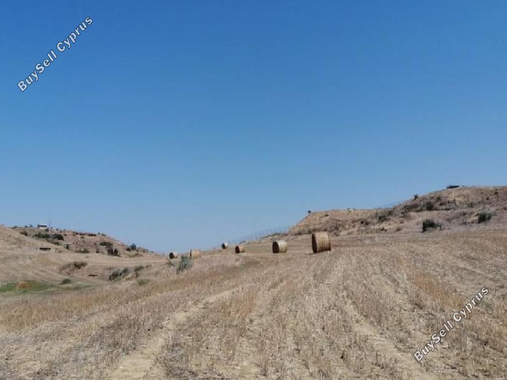 land for sale tseri nicosia 826448 image 6816044