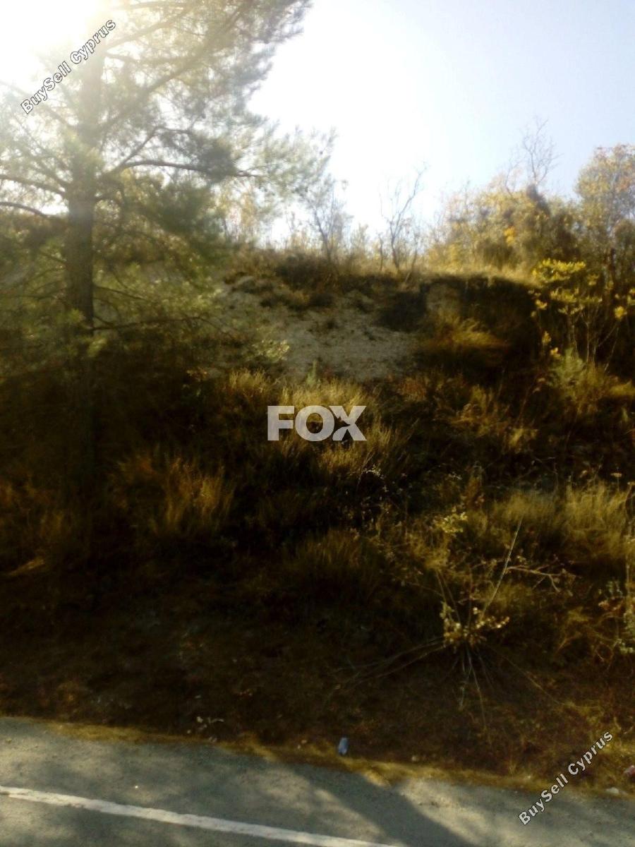 1038 SQM Land for sale in Pera Pedi, Limassol 15462528