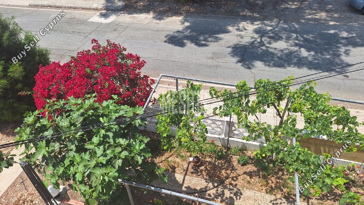 4 bedroom semi detached house for rent larnaca municipality larnaca 8203548 image 13684510
