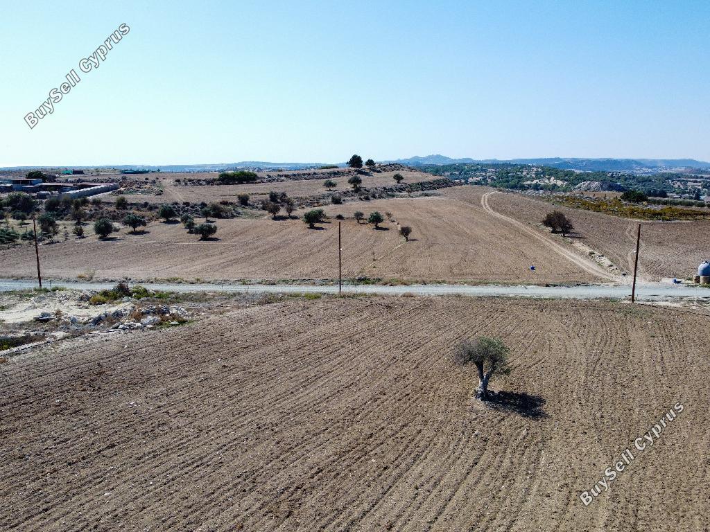 land for sale anafotida larnaca 826548 image 15601360