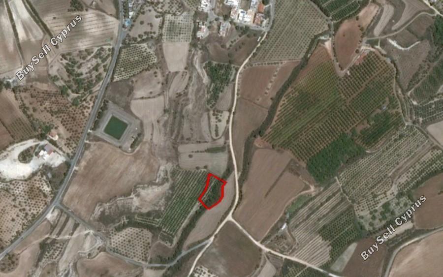 3011 SQM Land for sale in Prodromi, Paphos 15873900