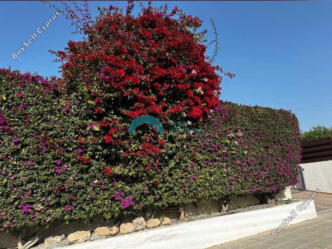 4 bedroom detached house for rent peyia paphos 8574648 image 16054551
