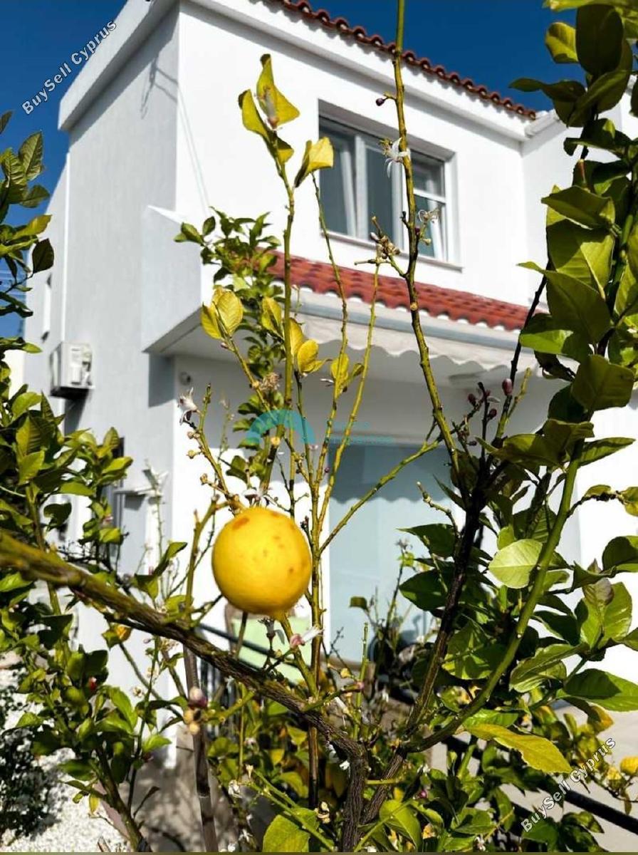 4 bedroom detached house for rent peyia paphos 8574648 image 16054560