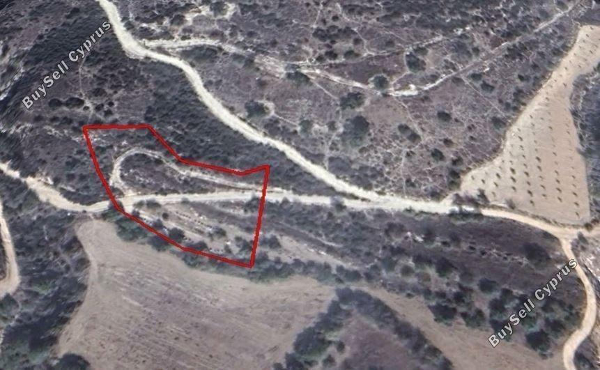 land for sale tsada paphos 1681648 image 4377635