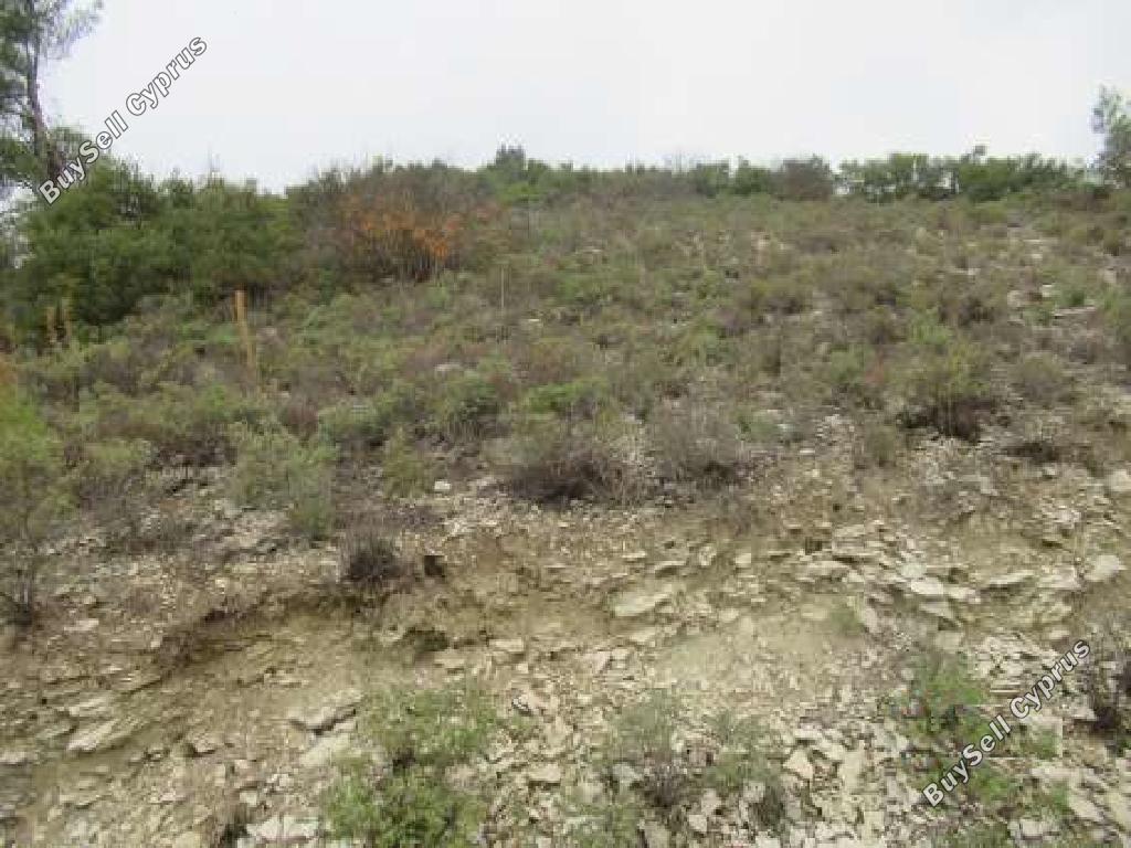 4181 SQM Land for sale in Arminou, Paphos 15600282