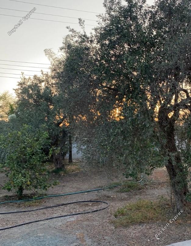 3 bedroom detached house for sale moni limassol 1690748 image 6567602