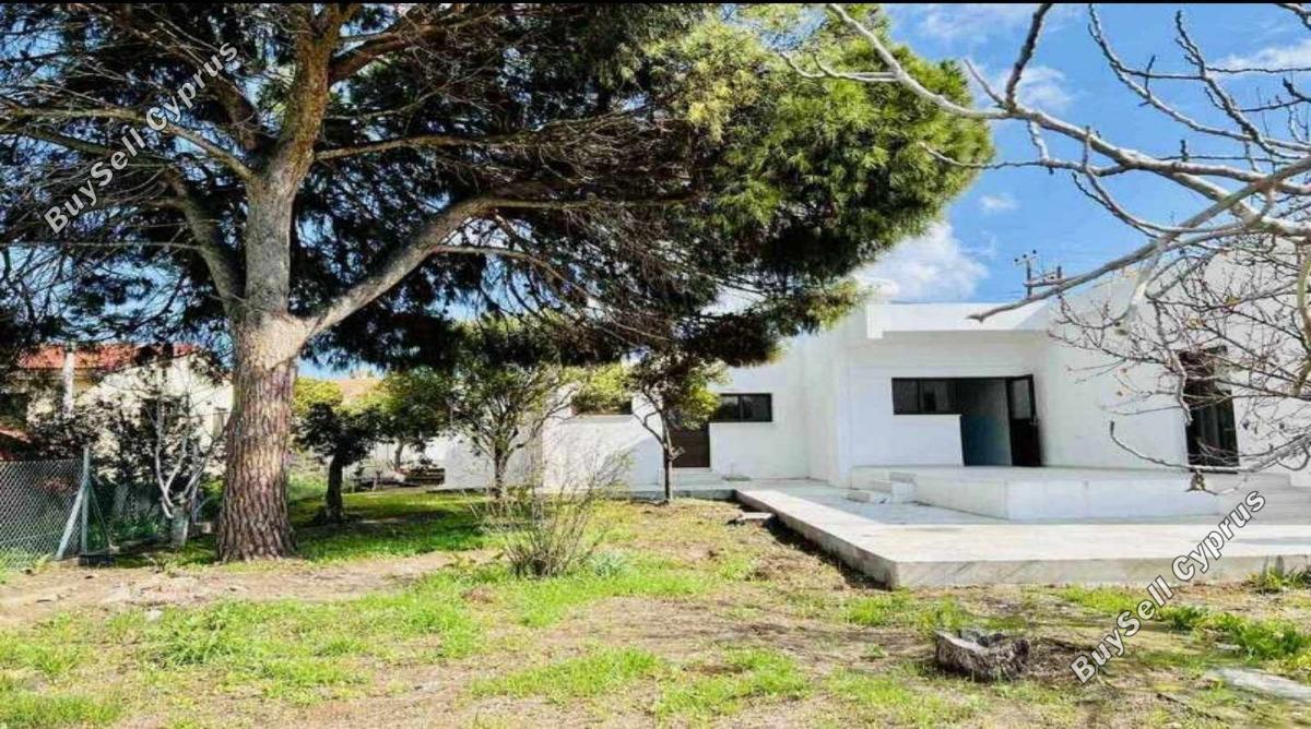 4 bedroom detached house for sale pervolia larnaca 8693748 image 16257394