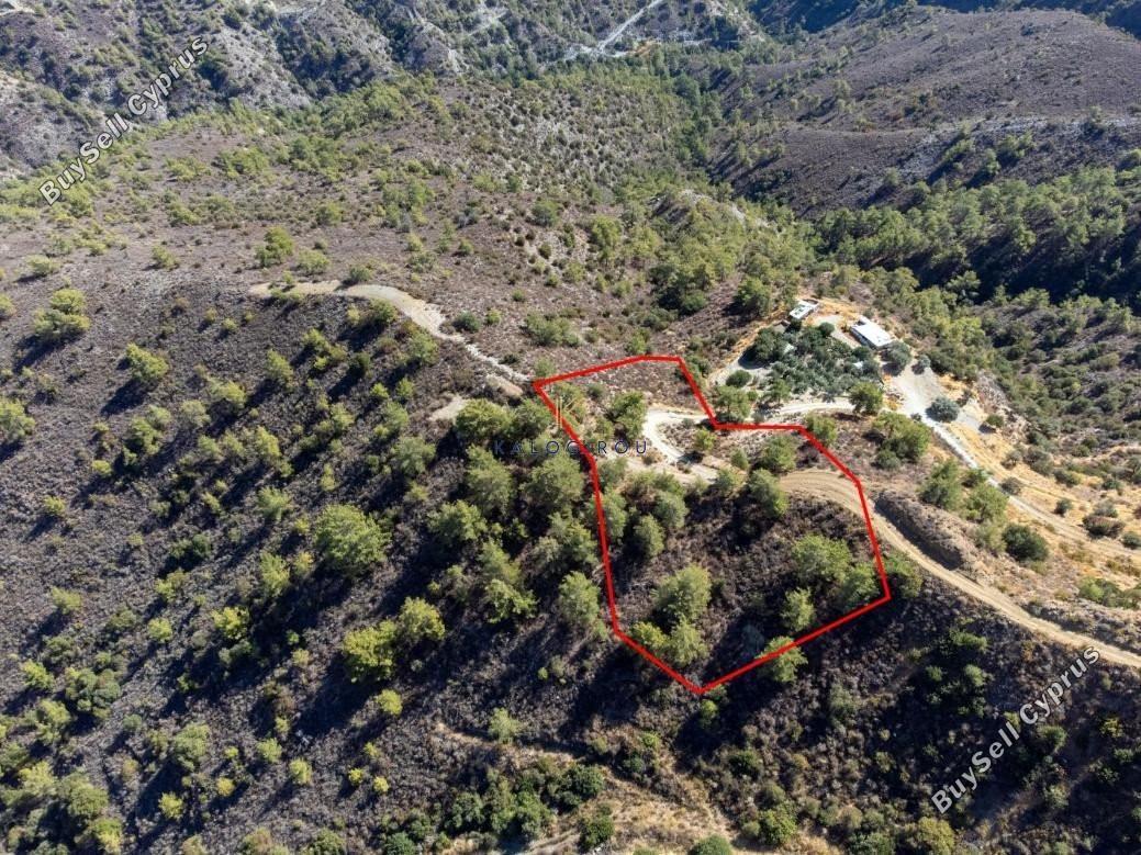 land for sale dierona limassol 1194748 image 5570091