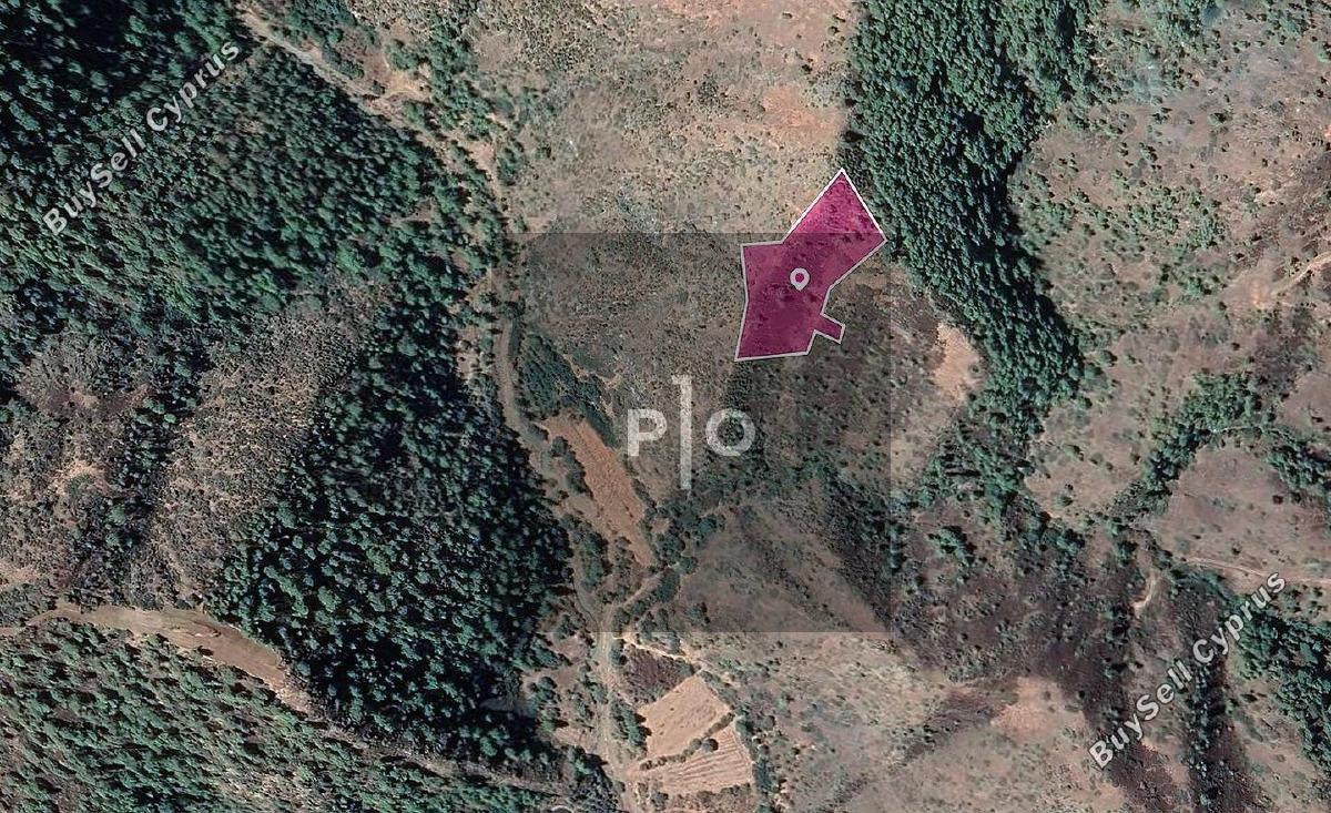land for sale pigenia nicosia 8274848 image 15155572