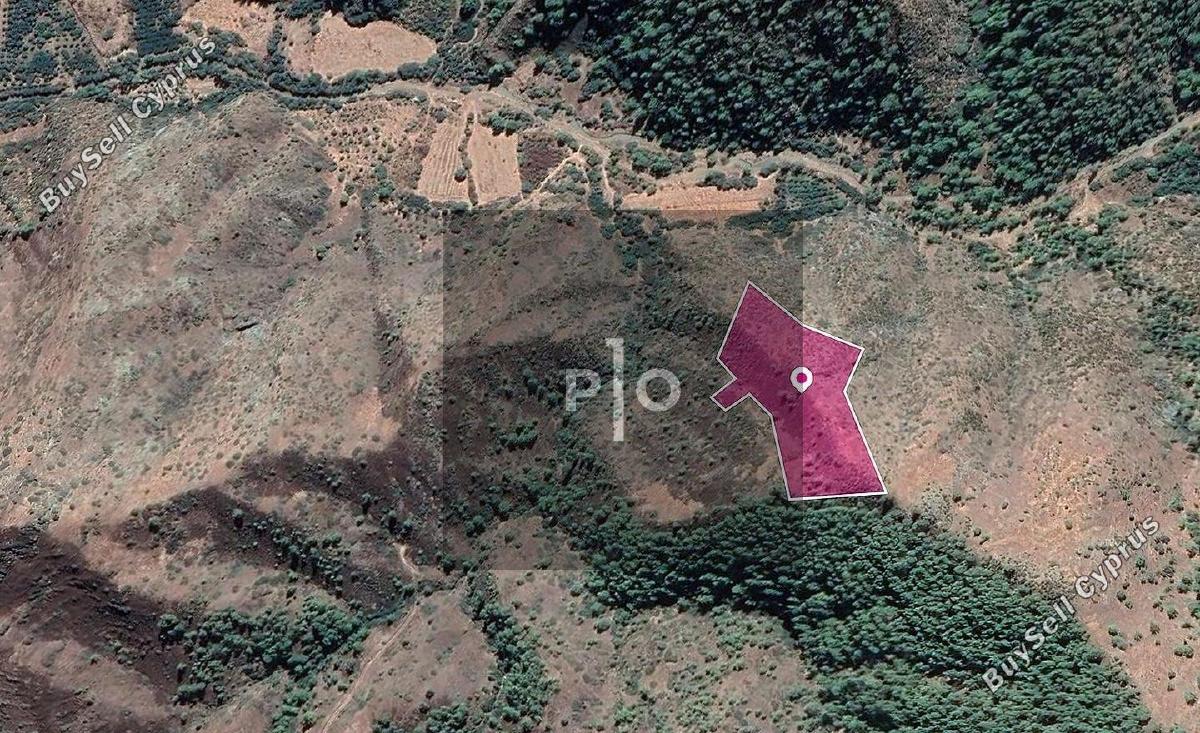 land for sale pigenia nicosia 8274848 image 15155576