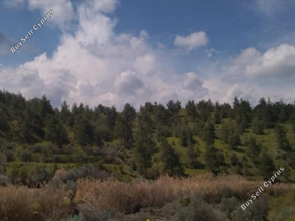 13713 SQM Land for sale in Vyzakia, Nicosia 15602592