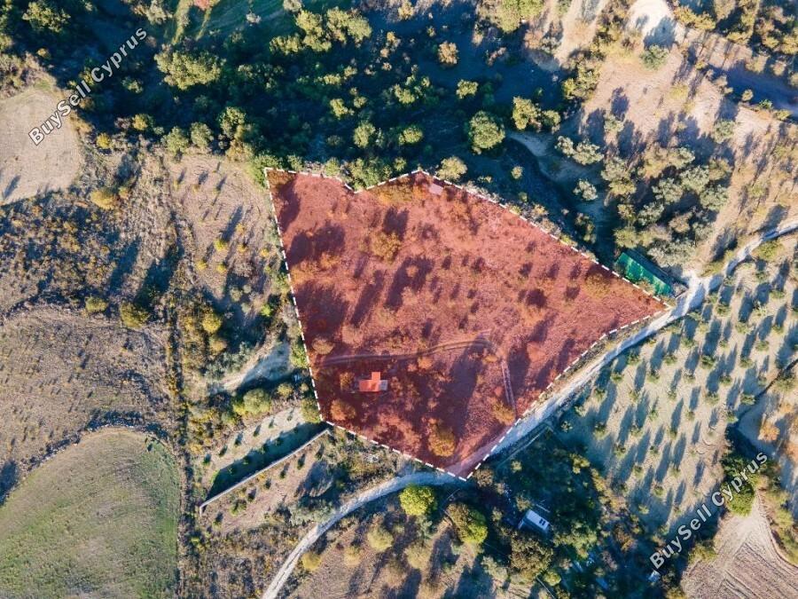 land for sale simou paphos 1352948 image 2540666