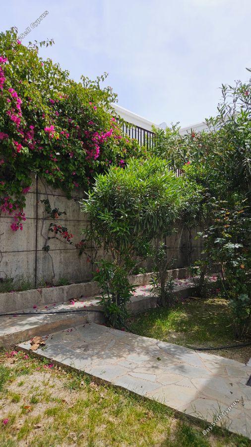 3 bedroom semi detached house for sale tombs of the kings paphos 1821058 image 6355645