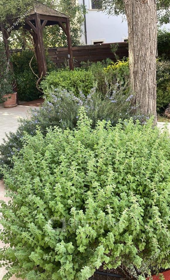 5 bedroom detached house for sale strovolos nicosia 8360058 image 14543970