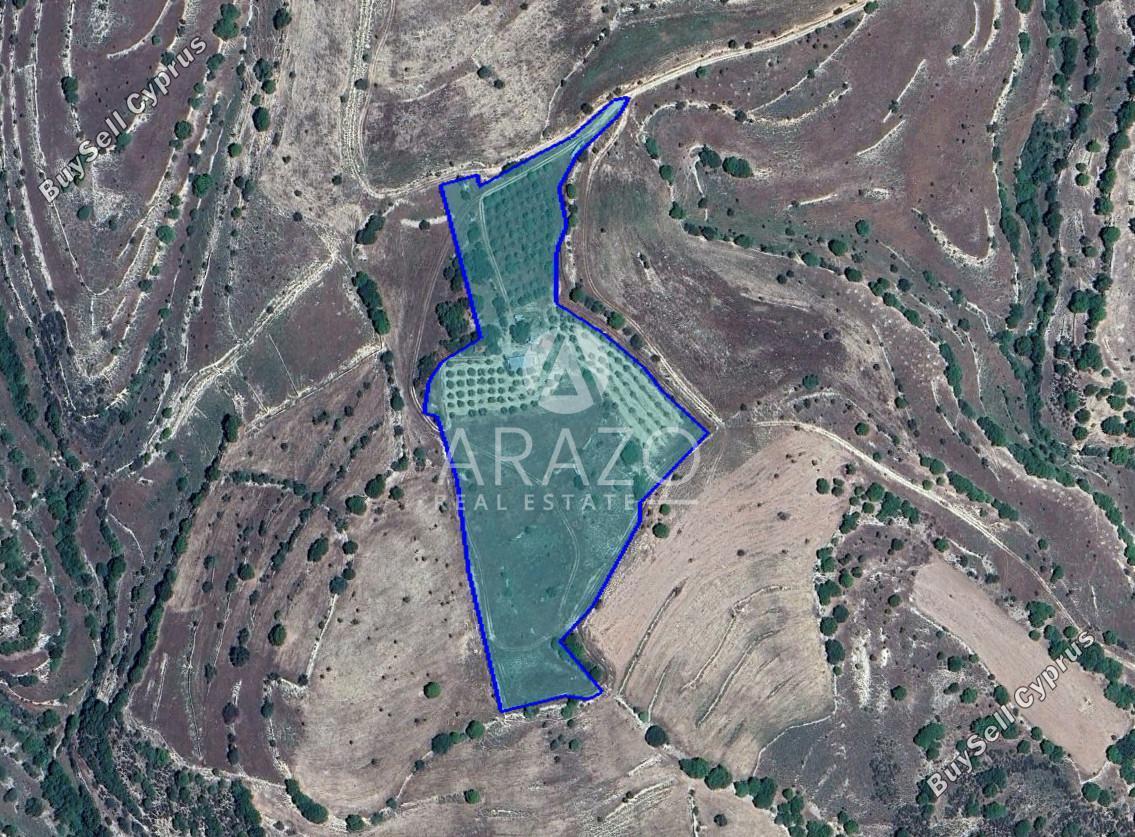 land for sale dora limassol 1927058 image 7539343