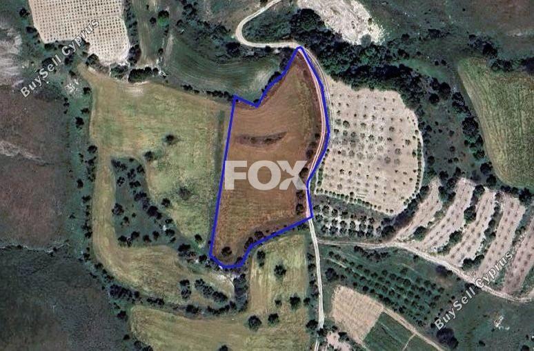 land for sale kannaviou paphos 1291058 image 5586312