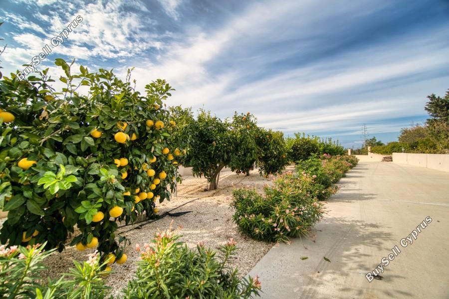 7 bedroom detached house for sale emba paphos 7738158 image 15640520