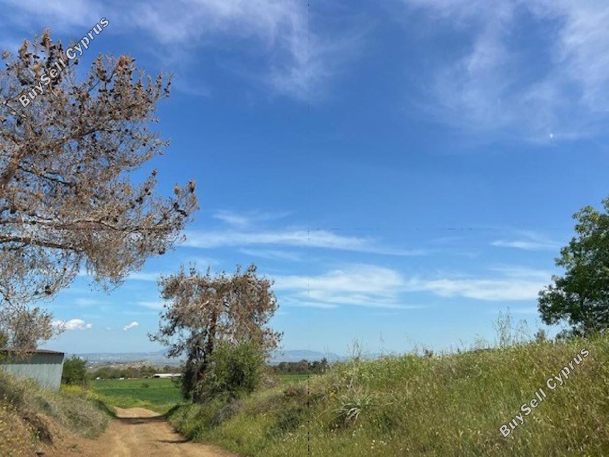 land for sale agios theodoros soleas nicosia 8716158 image 16294582