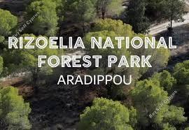 land for sale aradippou larnaca 1710158 image 6319333