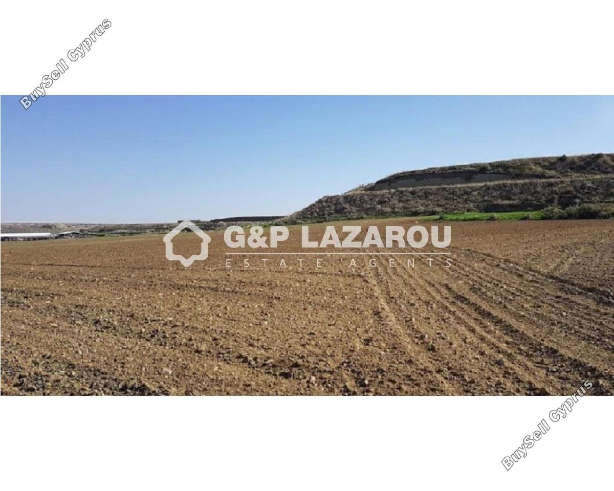 land for sale dali nicosia 1578158 image 6009862