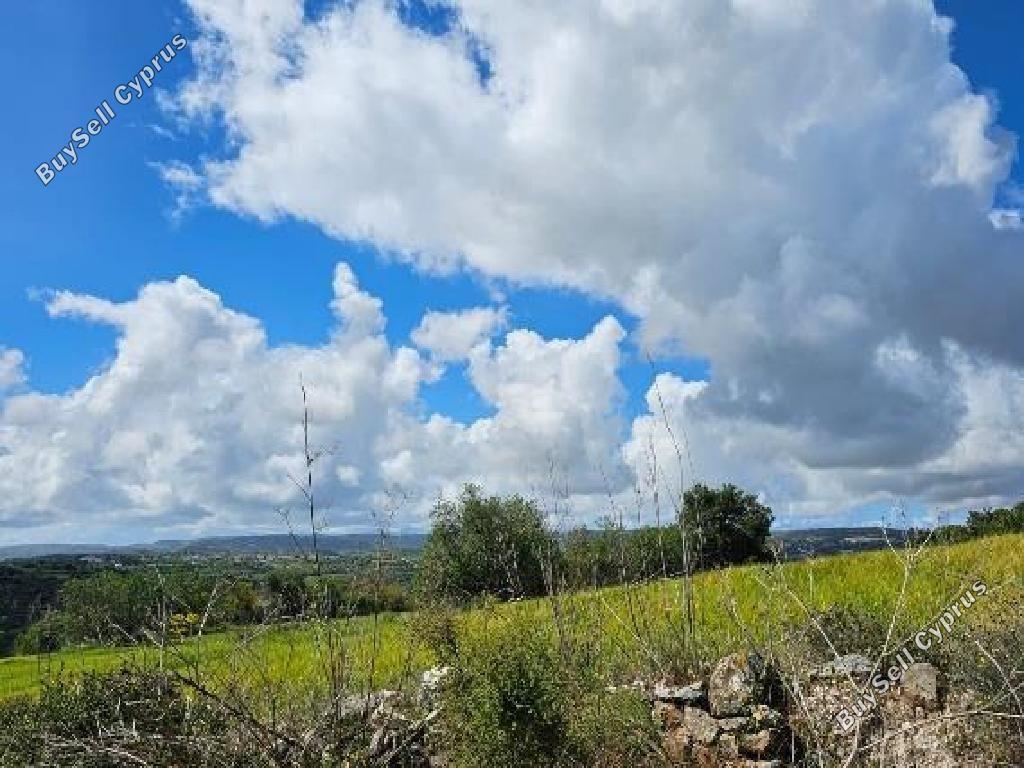 land for sale drynia paphos 8532158 image 16306184