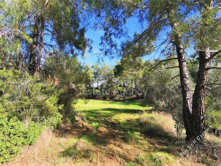 land for sale shia nicosia 1151158 image 12671133