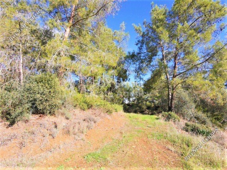 land for sale shia nicosia 1151158 image 12671134
