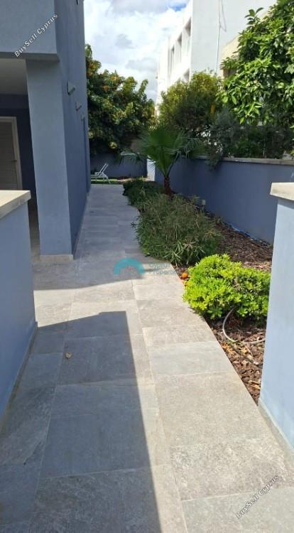2 bedroom apartment for rent tsirion limassol 8417358 image 15318494