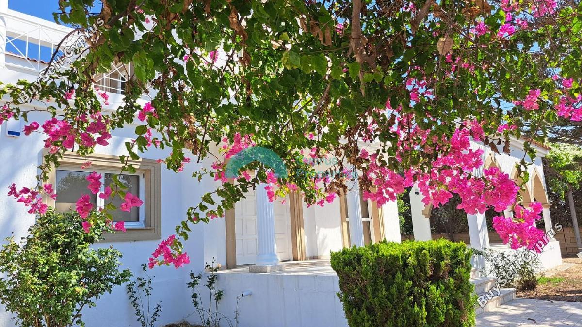 3 bedroom detached house for rent pervolia larnaca 7526358 image 16391453