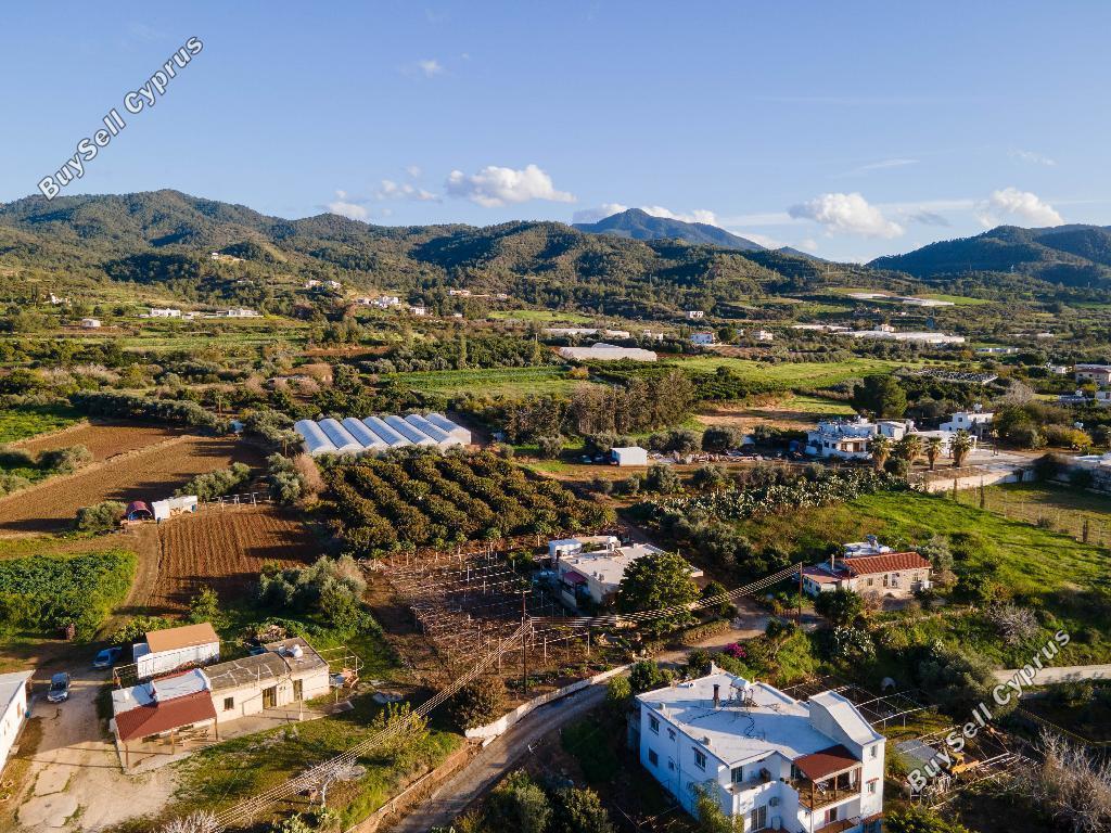 land for sale agia marina chrysochous paphos 946358 image 15600053
