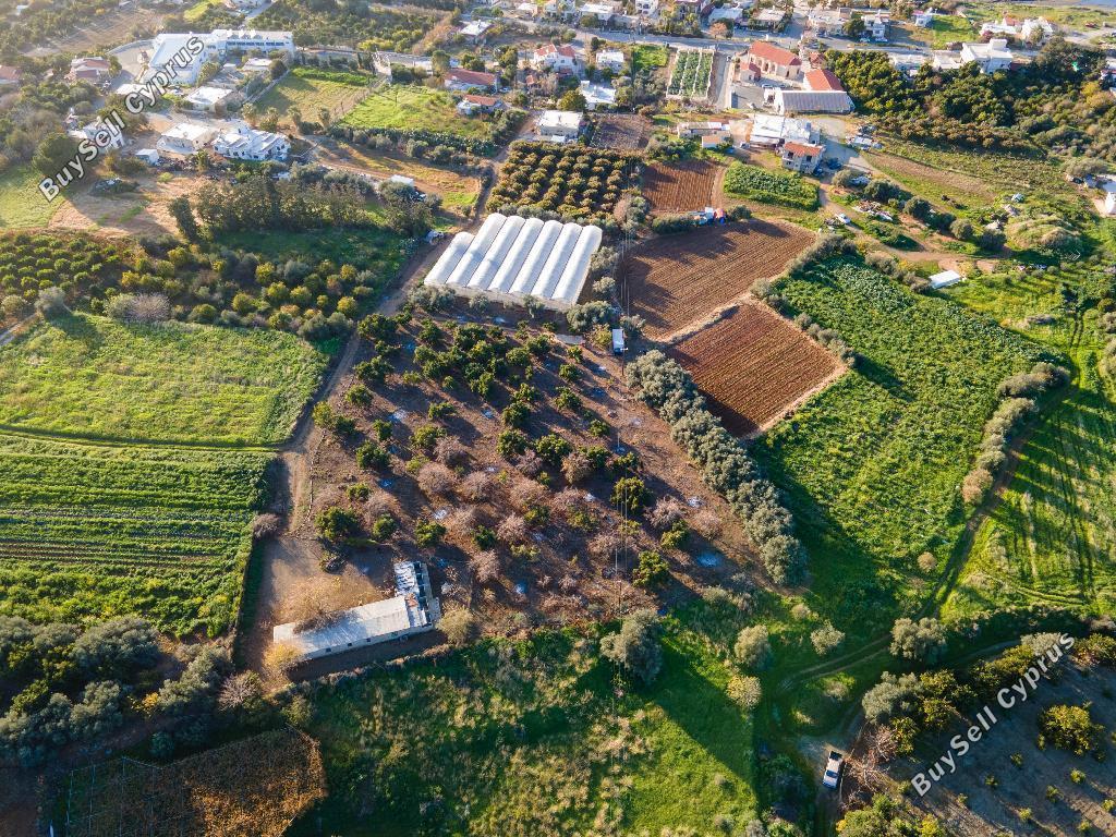 land for sale agia marina chrysochous paphos 946358 image 15600054