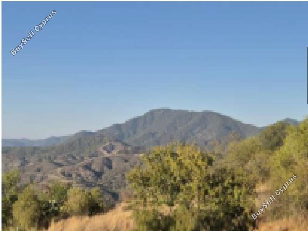 land for sale kinousa paphos 8408458 image 16306267