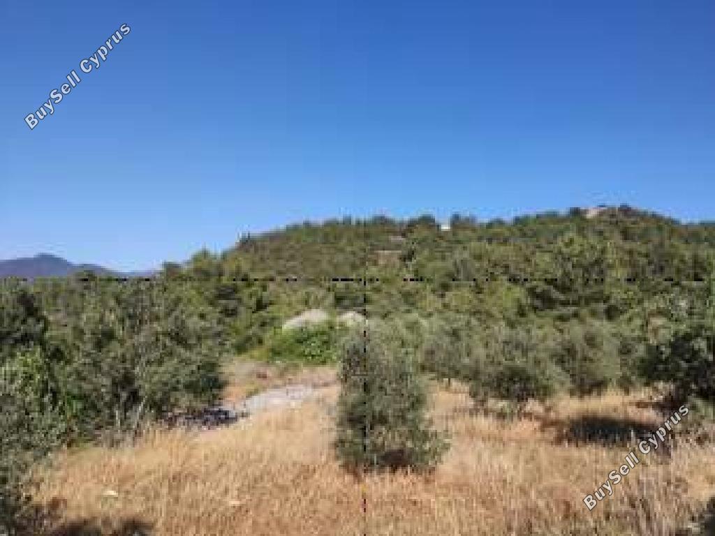 land for sale kinousa paphos 8408458 image 16306269