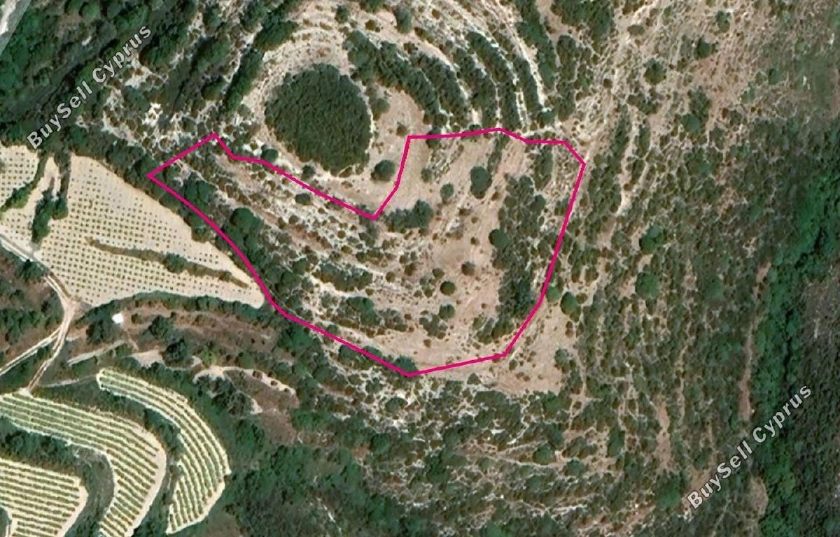land for sale koili paphos 1897458 image 14205728