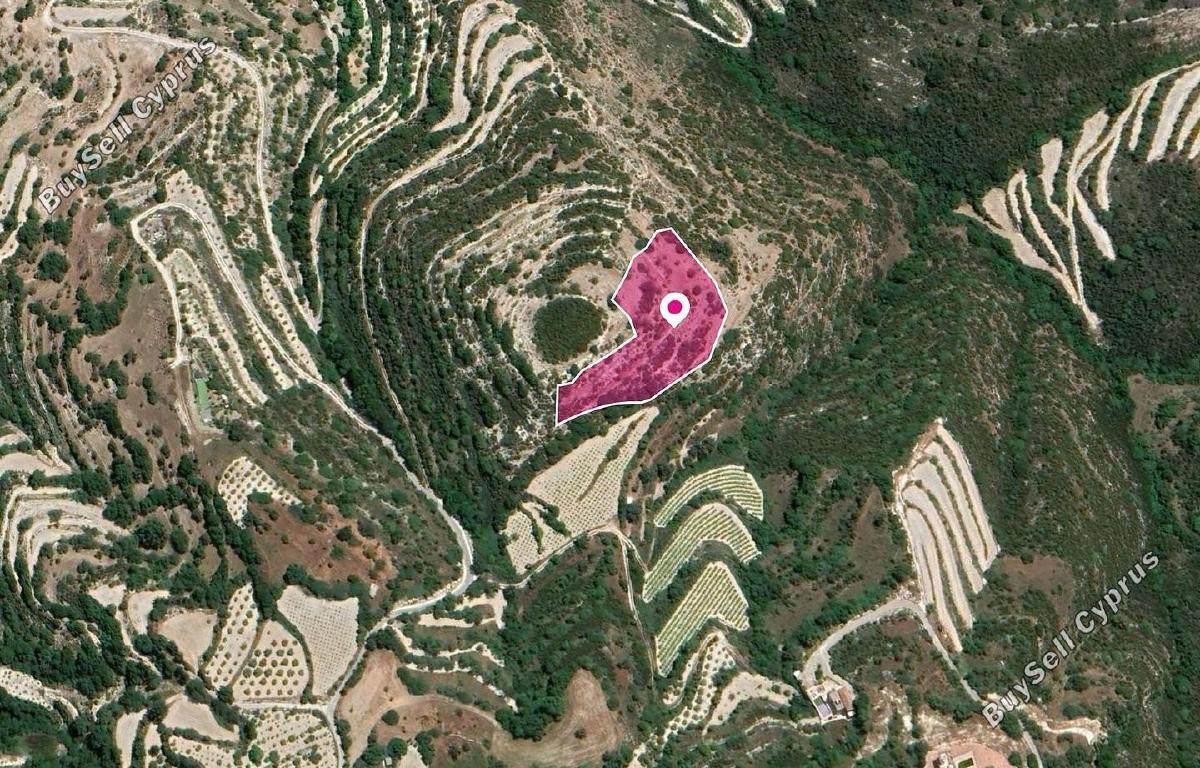 land for sale koili paphos 1897458 image 14205731